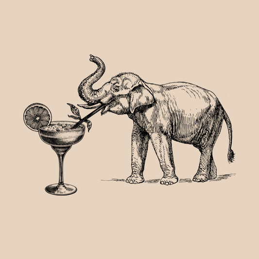 Elephant & Cocktail T-shirt