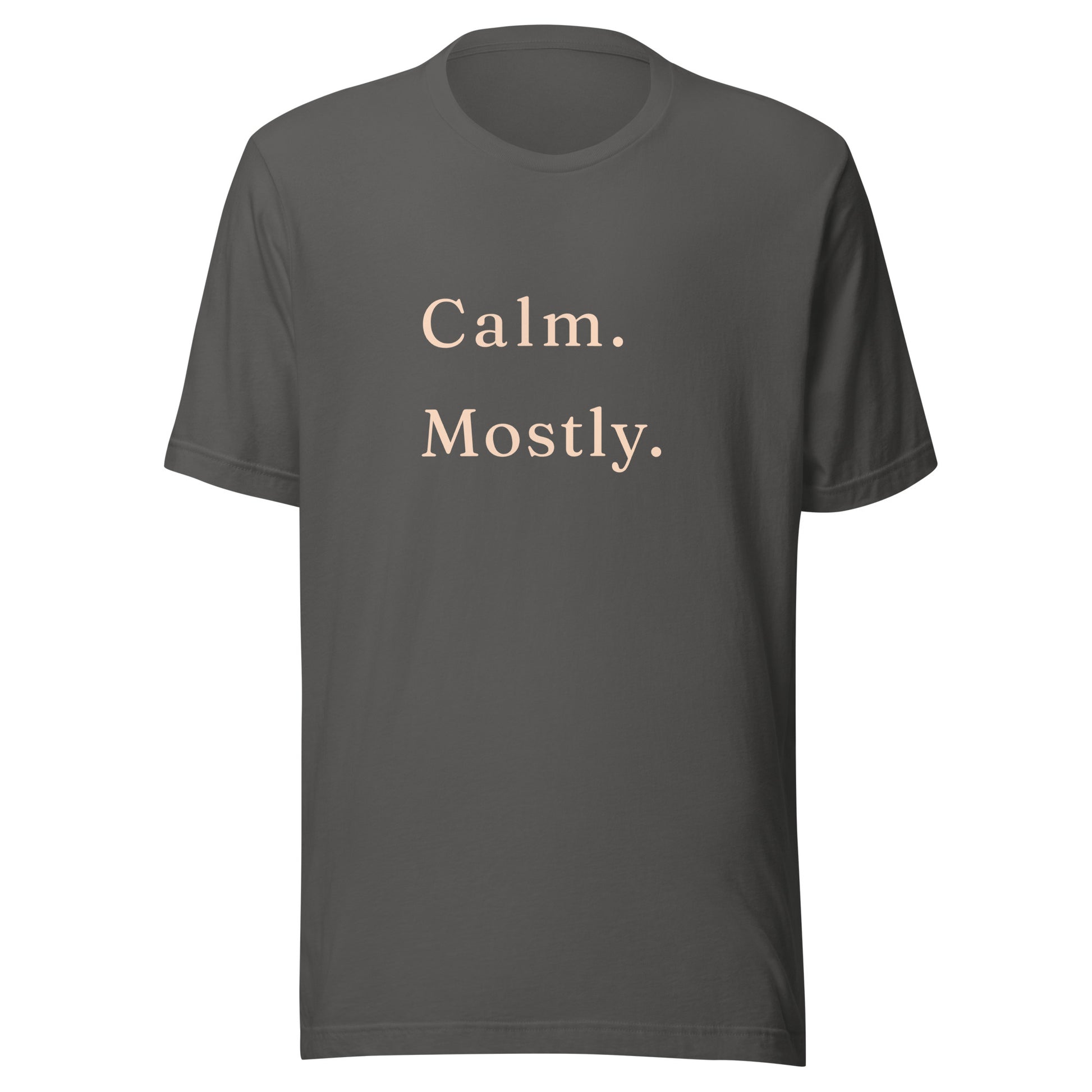Asphalt Calm. Mostly. T-shirt product mockup with soft warm text.